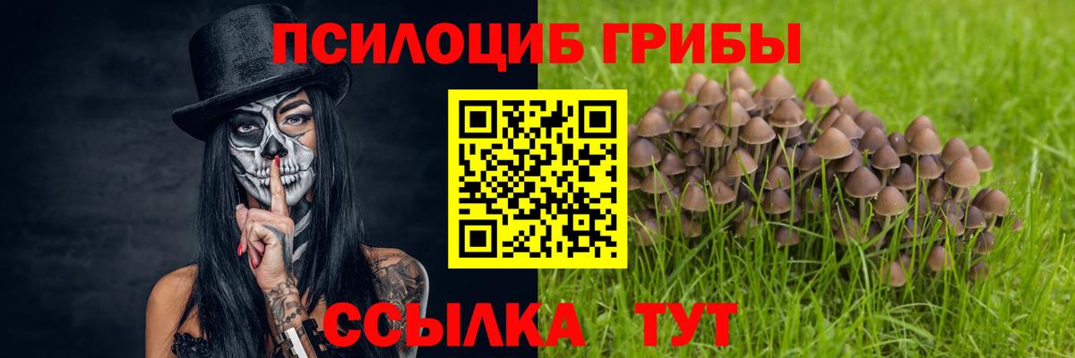 Псилоцибиновые грибы Psilocybine cubensis  Вход с VPN  Назрань  Галлюциногенные грибы MAGIC MUSHROOMS 